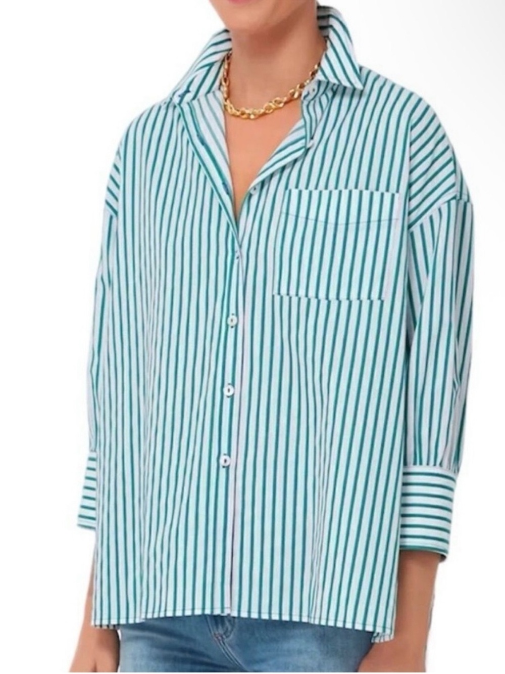 Tuckernuck POMANDER PLACE Green Stripe Adair Boyfriend Shirt Large